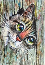 ACEO cat watercolor pencil by the author original 3,5