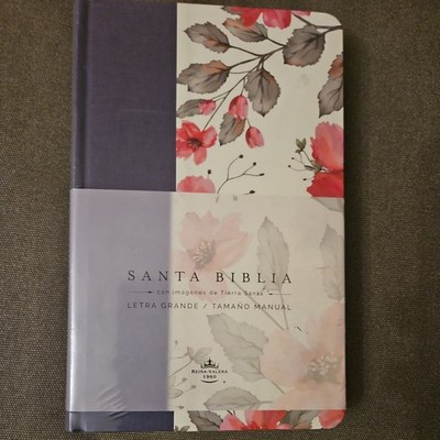 Biblia RVR 1960 Letra Grande tapa dura.
