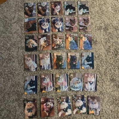 Cat Cafe MOCHA Cats Trading Card Shibuya Center Street Store #65a48f