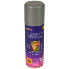 Silver Hair Spray Child Costume