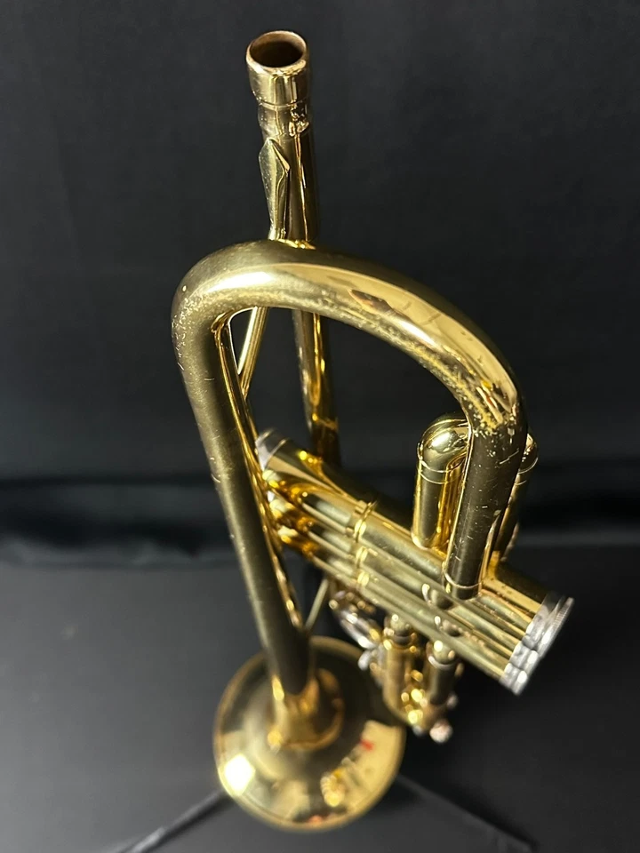 Trompeta Holton Collegiate T602MK Foto 3 de 4