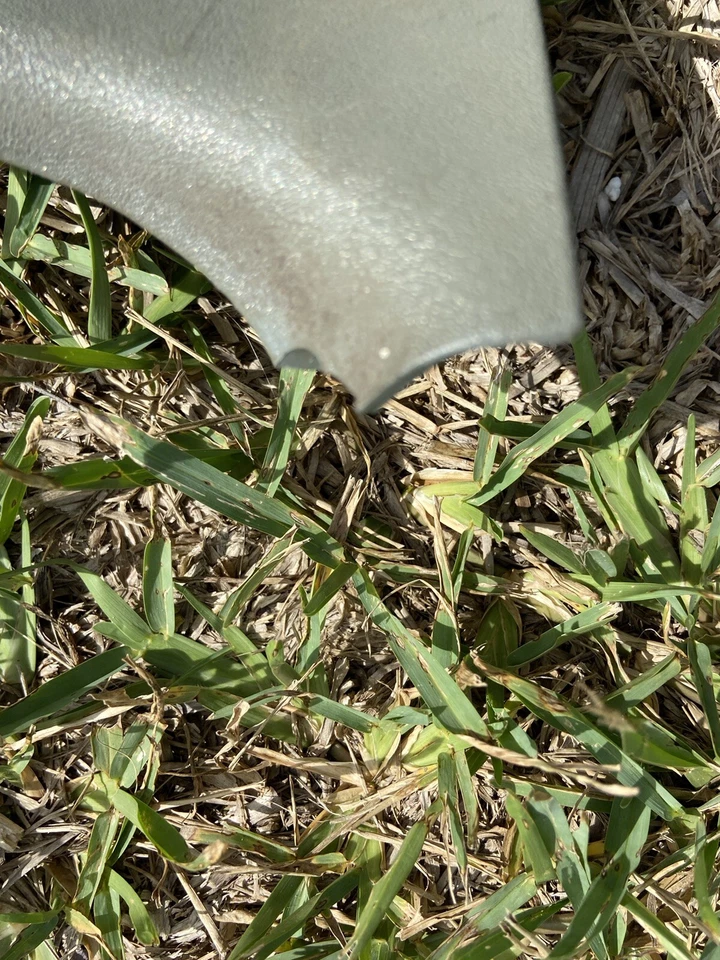 1246880106 灰色左球杆 KICK 面板 W124 300CE 300E 300TE 300D 300TD E320 — 第 3/4 张图片