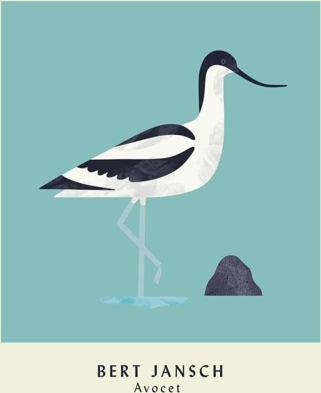 Vinile Bert Jansch - Avocet