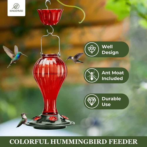 24-Ounce Glass Hummingbird Feeder 6 Feeding Ports Hanging Bird Nectar Feeder fo - Picture 2 of 6