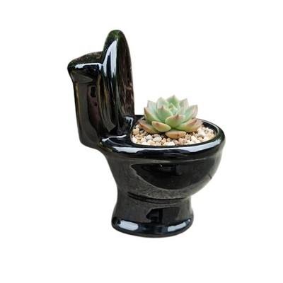 Ceramic Toilet Bowl Flower Pot  Unique Home Decor Planter Black