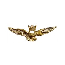 Air Force Turrita Eagle Pilot Pin Official Product