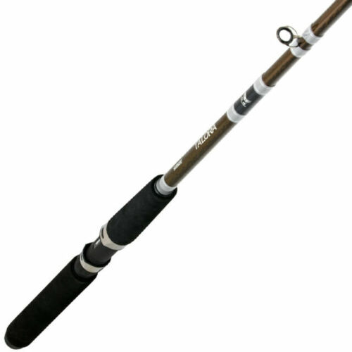 Unleash Your Fishing Prowess With Shimano Terez Rods - Tailwater