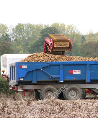 Foto 6x4 Kartoffelernte - der Anhänger ist fast voll Arminghall Die Kartoffel um 2009