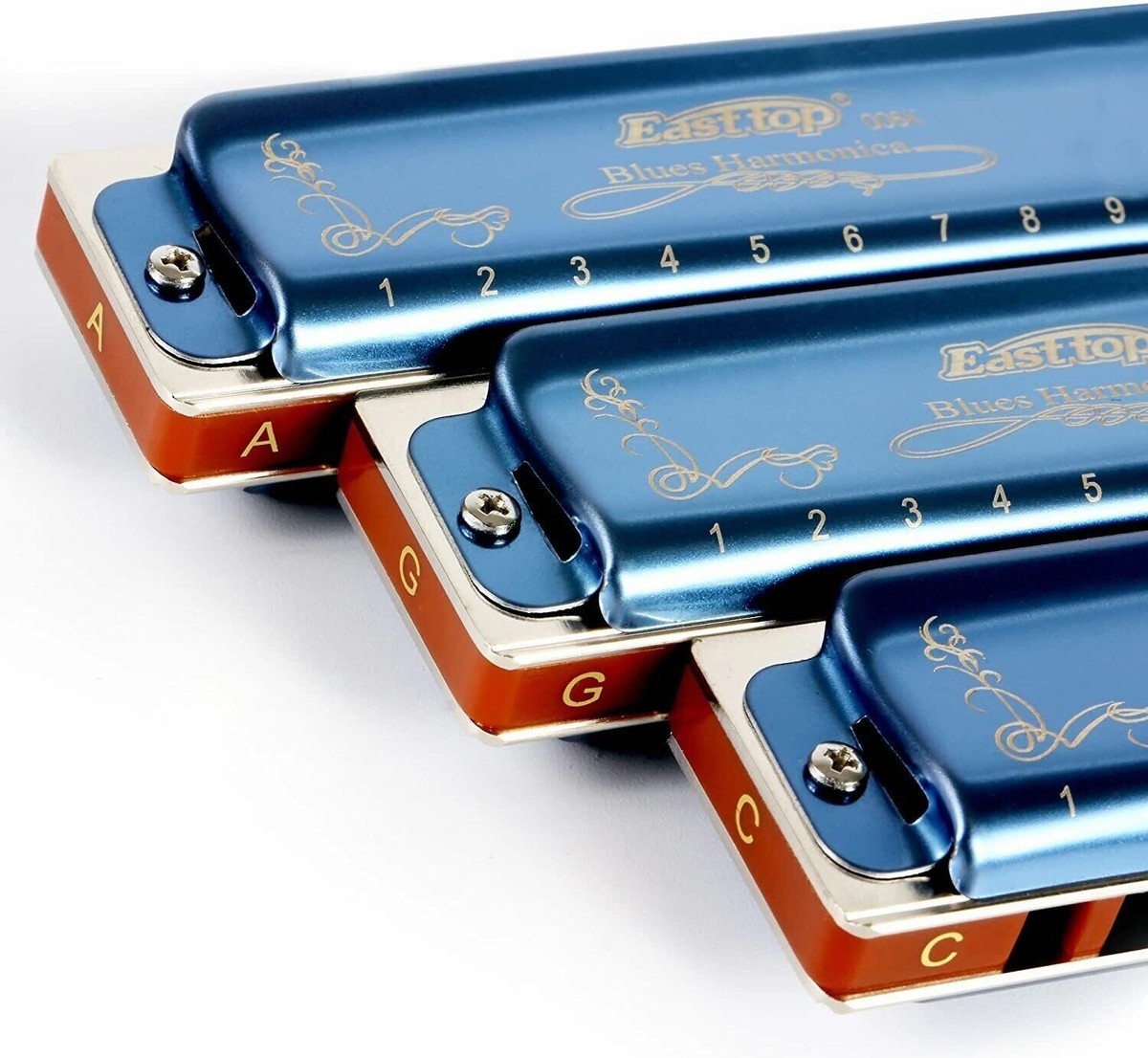 EASTTOP Armonica Diatonica 8 Fori In C &ndash; Professionale Con Custodia