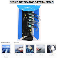 Línea De Cola Barco Sábalo