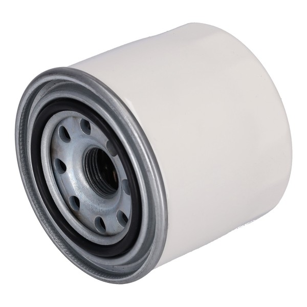Kraftstofffilter Passend FüR Agco, Bobcat, Case Ih, Caterpillar, Hino Jidosha, H-image