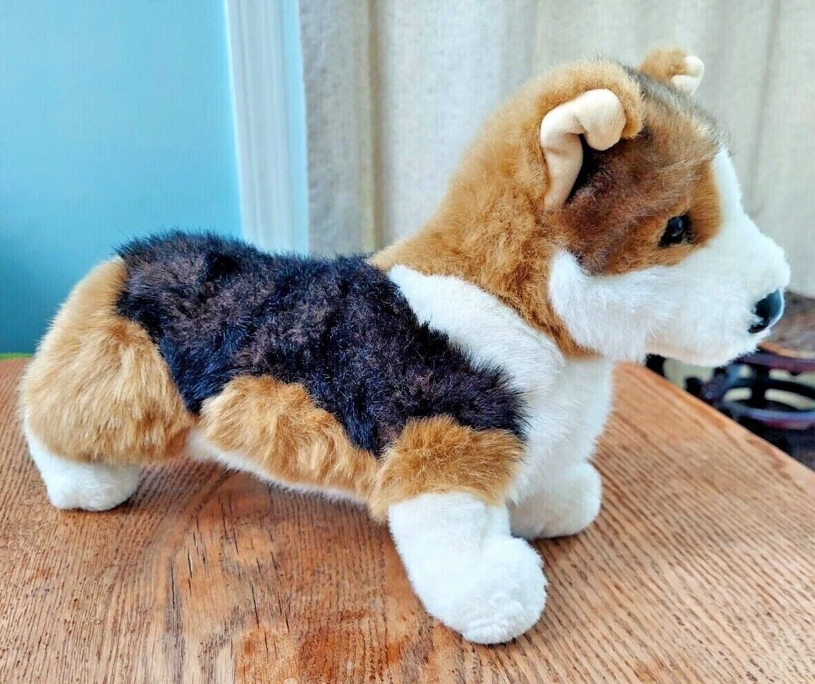 Kirby Tri-Colored Corgi