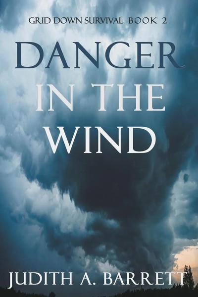 Judith A. Barrett | Danger In The Wind | Taschenbuch | Englisch (2022)-image