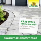 Bild 10 von 10