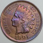 1901 Indian Head Penny - Uncirculated/Monster Toned (Lot#3)