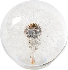 Dandelion Paperweight – Real Dandelion in Crystal Glass Ball, Unique Gift & Home