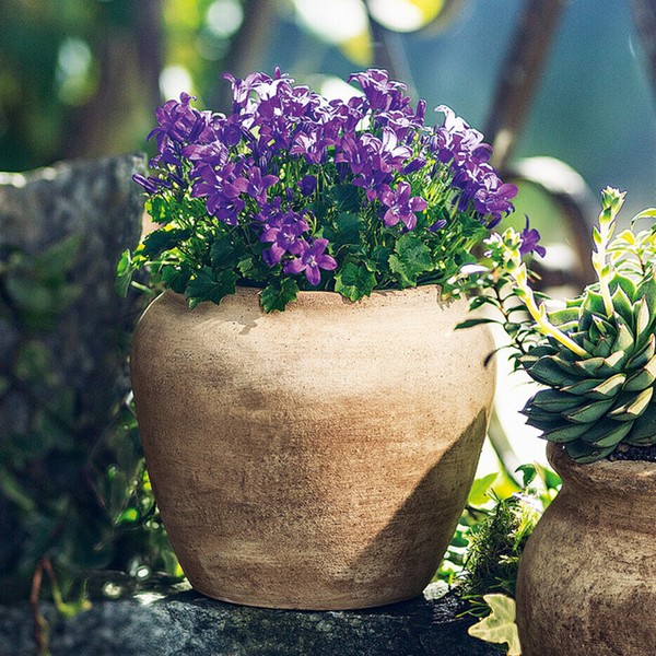 "Pflanztopf \"Terra\" Pflanzer Blumentopf Garten Balkon Pflanzgefäß Blumen"-image