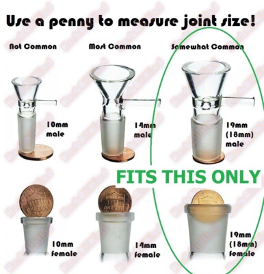 The Last Guy Adattatore Per Vetreria Da Laboratorio - 2 Pezzi - Foto 2