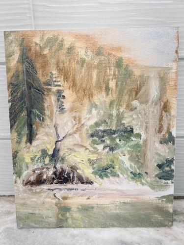 Original Oil Painting Signed F.Ryan Plein Air Mount Shasta CA 2008 Unframed - 第 1/8 張圖片