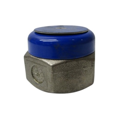 SPIRAX SARCO TD52 1/2'' (AS PICTURED) NSNP