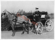 Royal Navy Commander FHE Spynnie Kutsche Dalmatiner Hund Foto 7"x4.4"c1944 