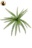Artplants KüNstlicher Schwertfarn Dregon Auf Steckstab, GrüN, 60Cm