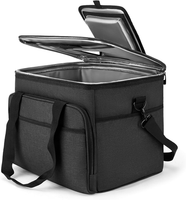 KüHltasche Faltbar 30L Isoliert Outdoortauglich Mit 2 KüHlakkus FüR Picknick Und
