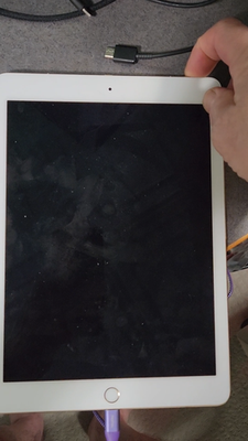 美品　Apple iPad Pro 9.7インチ　A1674 Restored Apple iPad Pro 9.7 (1st Gen) A1674 (WiFi + Cellular