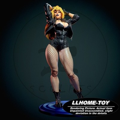 Black Canary 30CM Tall 3d Print Model Unpainted Garage Kit Statue Figure