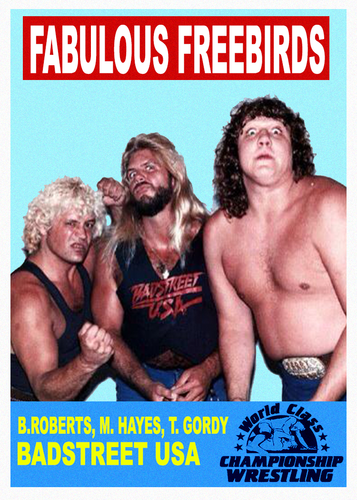 2023 LJACards "WCCW"" Historia de la lucha libre Tarjetas coleccionables ACEO Tarjeta de novedad - Imagen 21 de 48