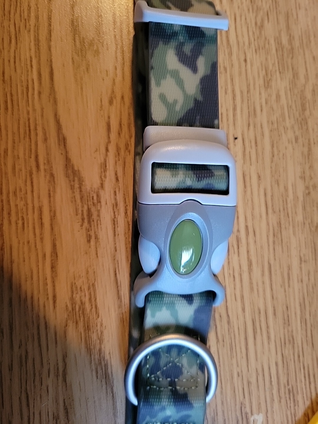 Water & Woods Waterproof Adjustable Dog Collar by Coastal Pet - 18"-26" LG