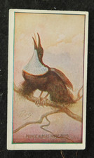 Tarjeta de cigarrillo Albert Rifle Bird Sniders & Abrahams animales y aves Ser A/G 1910