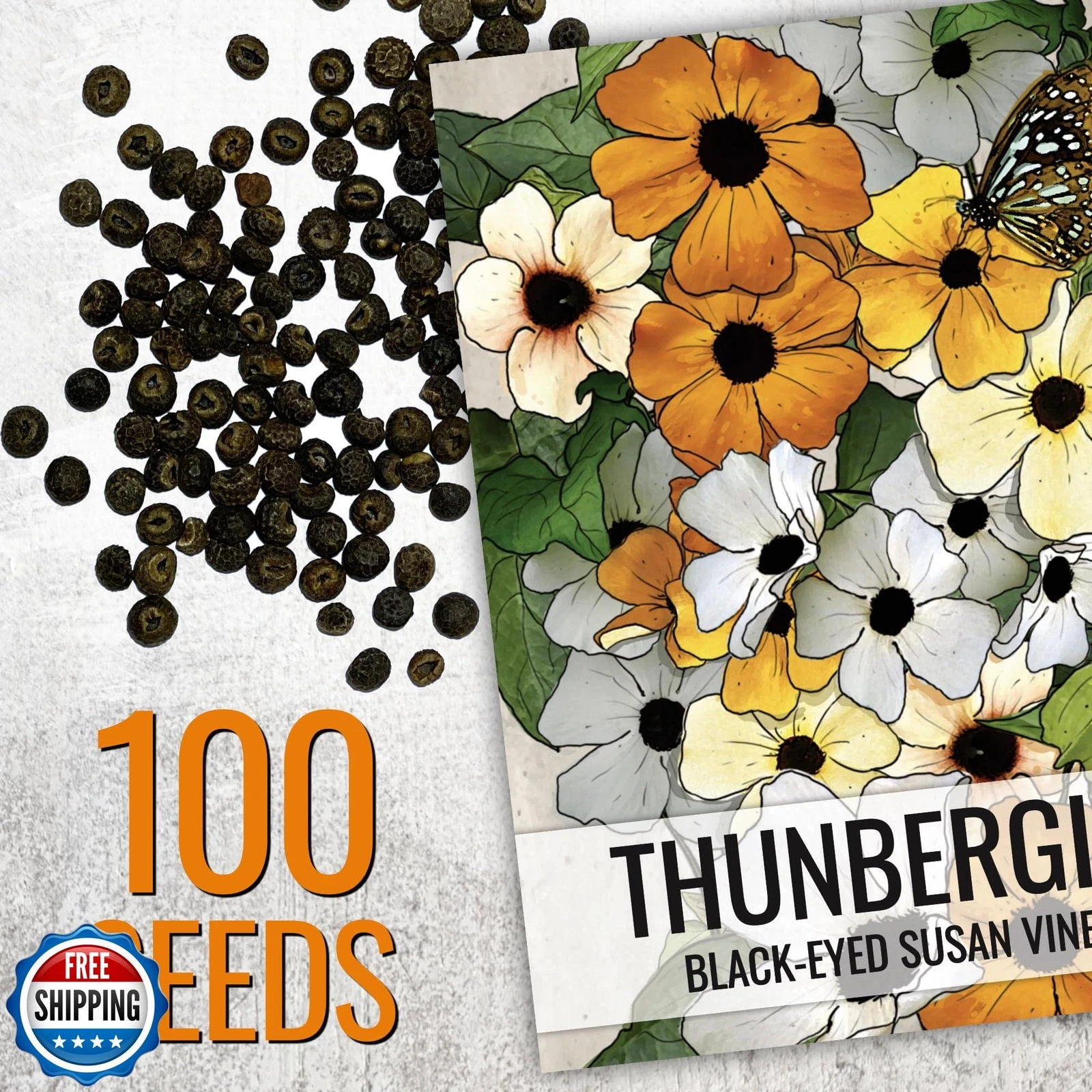 Seed Needs Black Eyed Susan Vine Seeds - Thumbnail 4