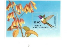 Turks and Caicos 1990 - Hummingbirds - Souvenir Stamp Sheet - Scott #867 - MNH