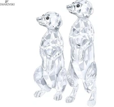 NIB Swarovski Meerkat Couple Symbol Of Love Crystal Clear Figurine #5135929