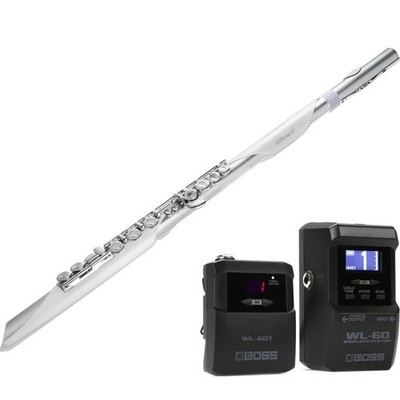 Roland Aerophone Brisa Digital Wind Instrument Wireless Bundle