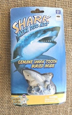 Shark Mini Dig Kit Shark Tooth Buried Inside Discover With Dr Cool