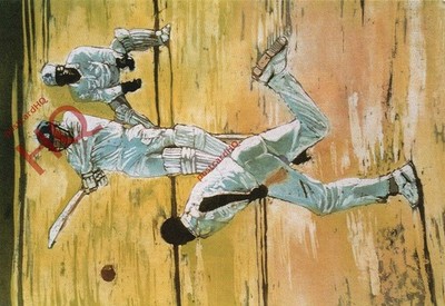 Ansichtskarte::Rosie Robinson, '80 In Antigua', Cricket