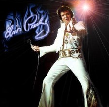 Elvis  13 - T Shirt Iron On - Heat transfer