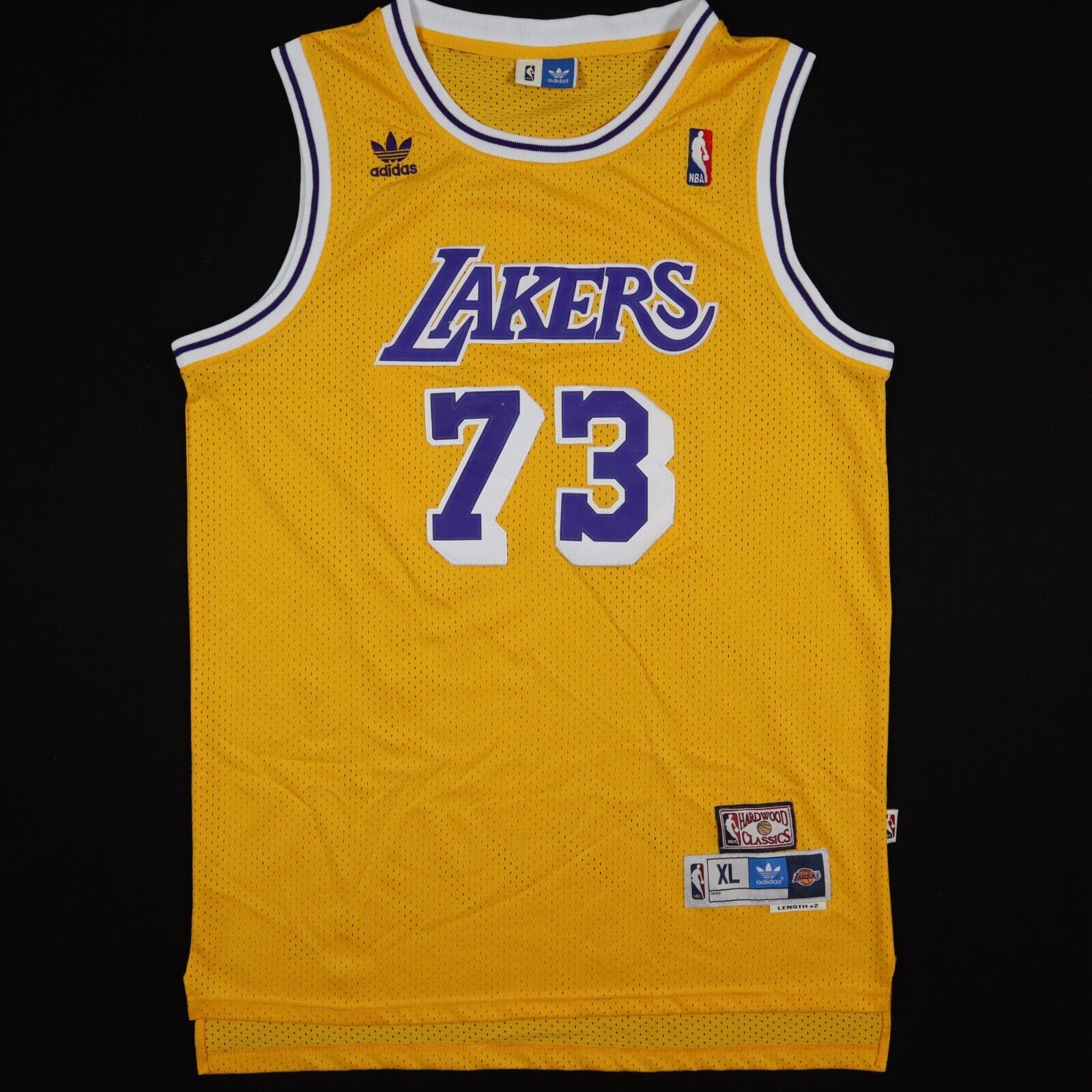 Dennis Rodman Los Angeles Lakers Mitchell & Ness Hardwood Classics Swingman  Jersey - Gold