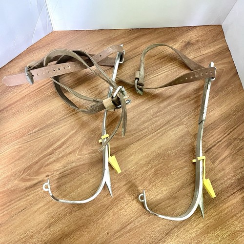 Vintage BUCKINGHAM STEEL TREE CLIMBING SPURS SPIKES PAIR SET - L@@K