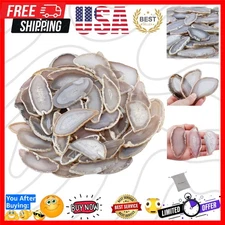 Polished Agate Light Table Slices,Geode Agate Slab Cards Pack of 12