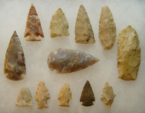 Lot of 12 Arrowhead Collection