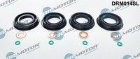 Dr.Motor Automotive Dichtungssatz EinspritzdüSe FüR Peugeot Boxer Kasten