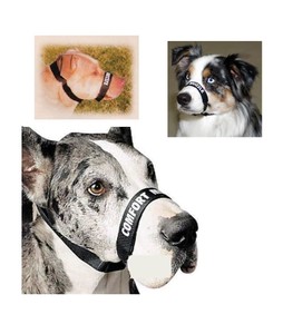 cat tree scratch post