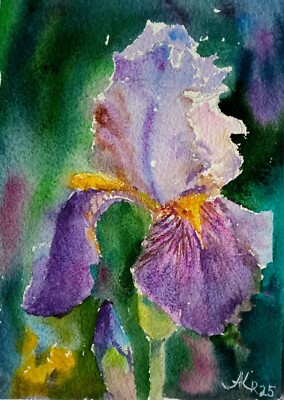 Iris Flower Small Watercolor Painting Original Floral Art Purple Flowers 5x7 In