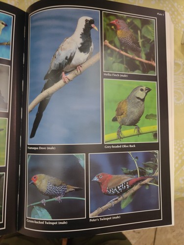 African Birds in Field & Aviary : A Guide to a Mixed Collection, Paperback by... - Picture 8 of 9