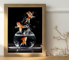 Goldfish Gold Fish Woof Woof Photo / Poster Up To 36"