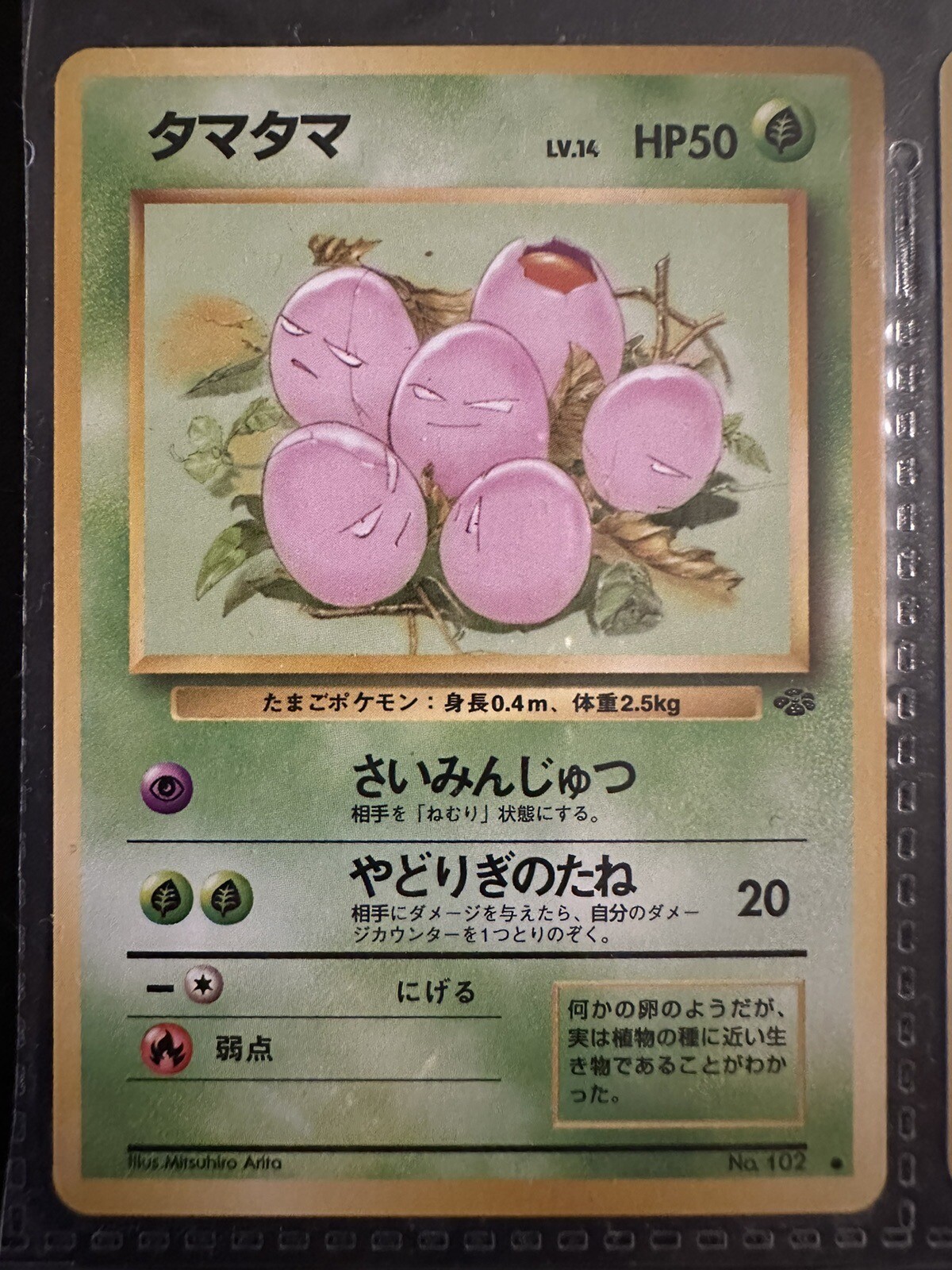 Pokémon Exeggcute No. 102 Jungle Japanese Vintage Purchased In Japan 1996 NM