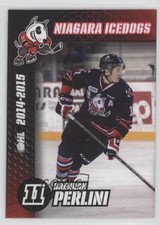 2014-15 Niagara IceDogs Team Issue Brendan Perlini 13o2